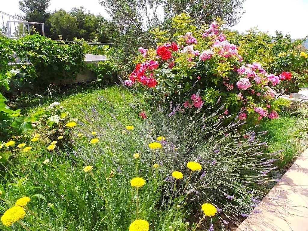 Marino Apartment Seget Vranjica Croatia